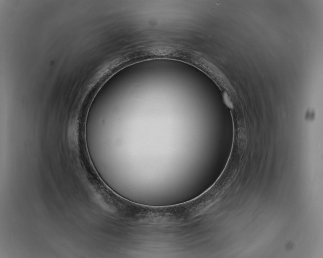 X0000102230626200807251235