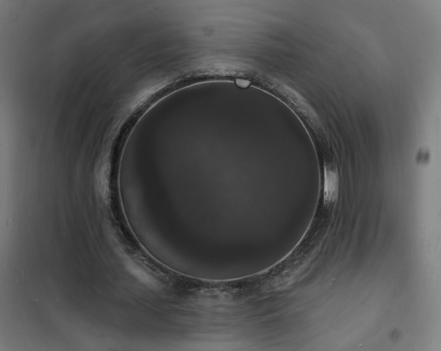 X0000102230627200807251235
