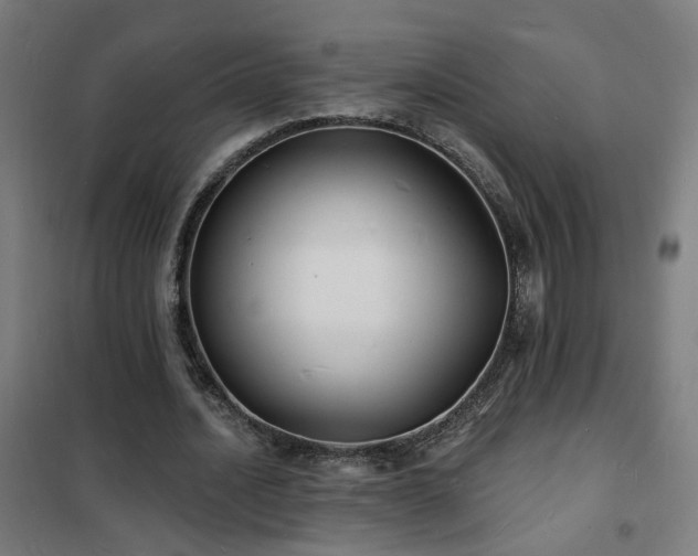 X0000102230628200807251235