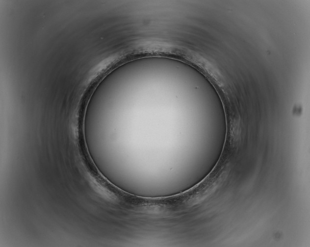 X0000102230629200807251235