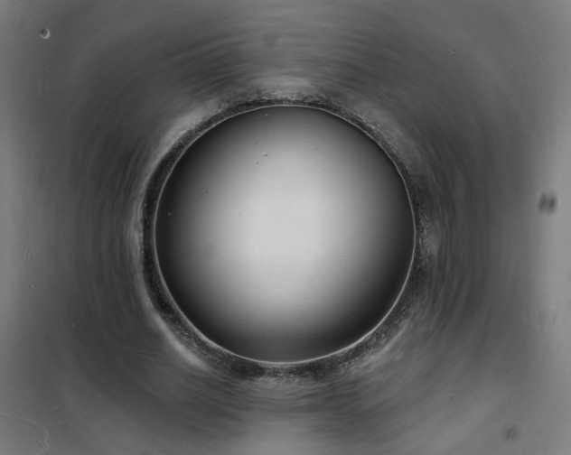 X0000102230630200807251235