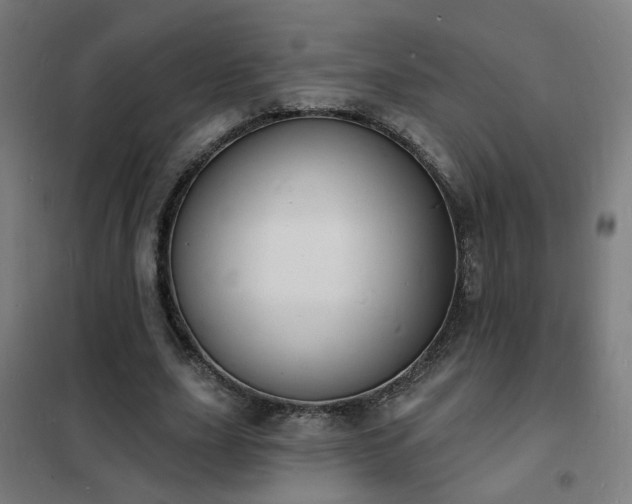 X0000102230631200807251236