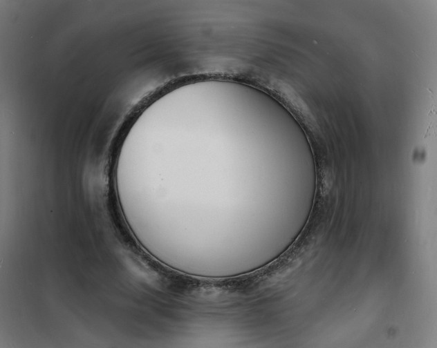 X0000102230632200807251236