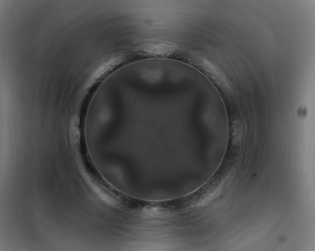 X0000102230634200807251236