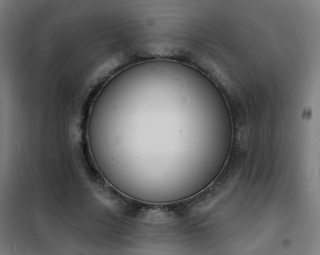 X0000102230635200807251236