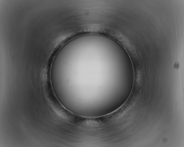 X0000102230636200807251236