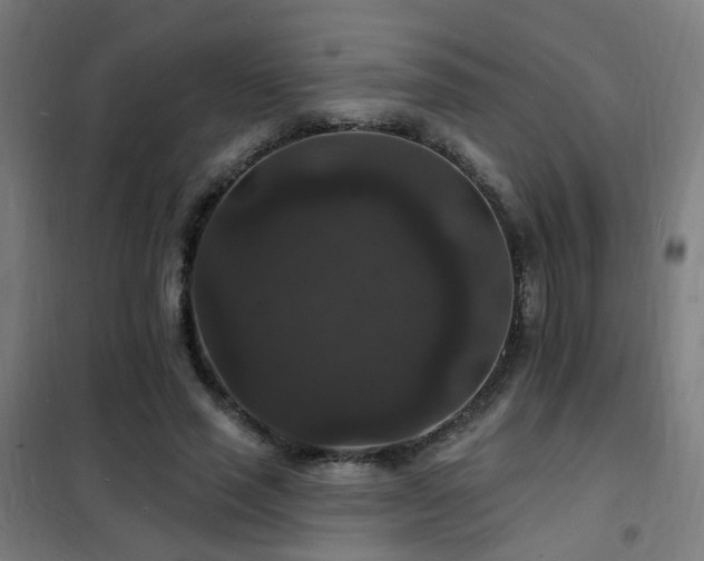 X0000102230637200807251236