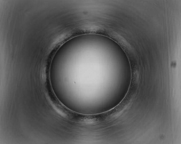 X0000102230638200807251236