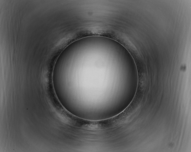 X0000102230639200807251236