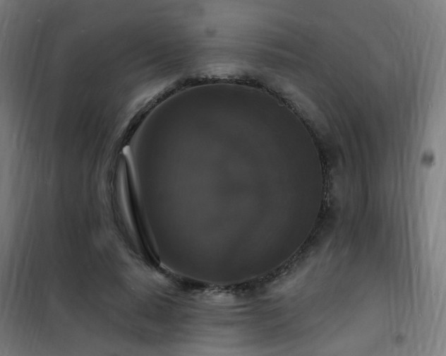 X0000102230640200807251236