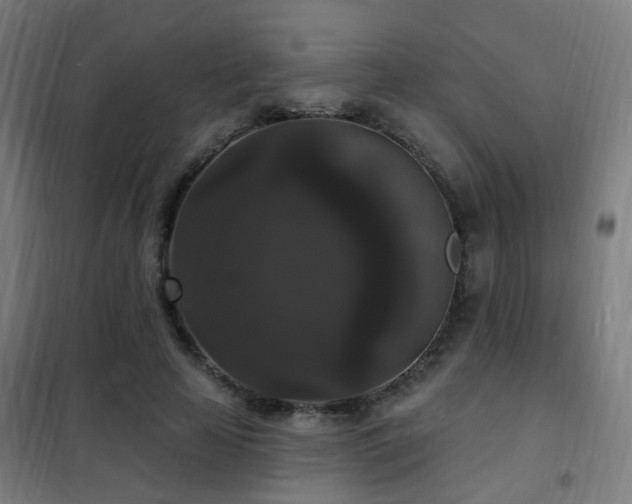X0000102230641200807251236