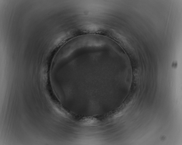 X0000102230642200807251236