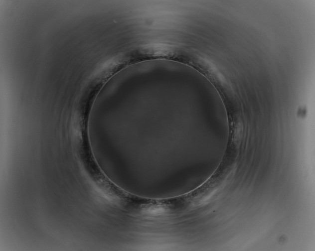 X0000102230643200807251236
