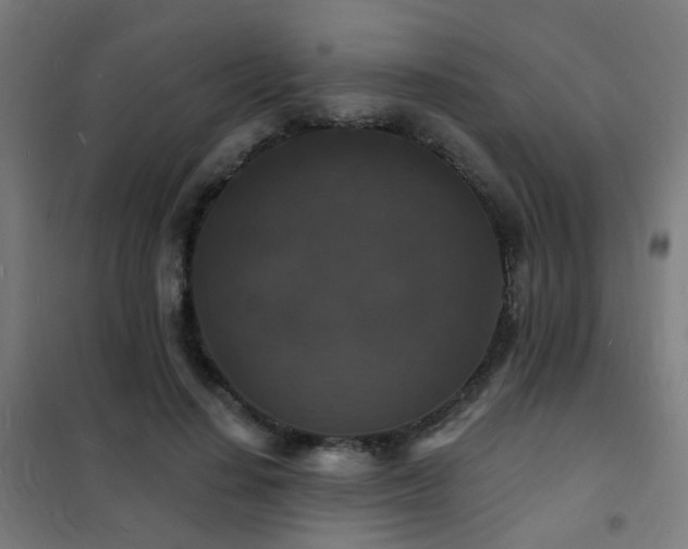 X0000102230644200807251236