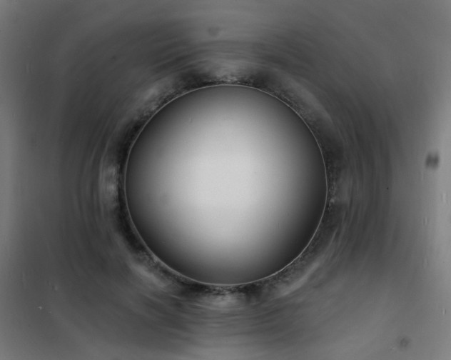 X0000102230646200807251236