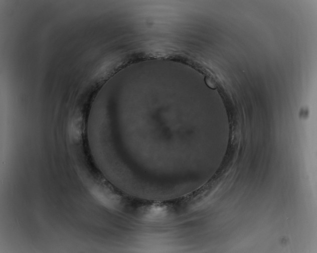 X0000102230647200807251236