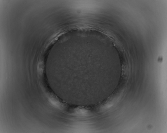 X0000102230648200807251236