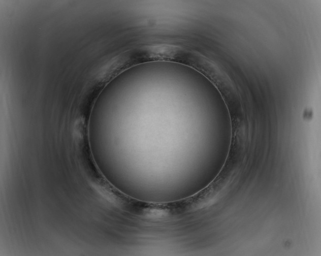 X0000102230649200807251236