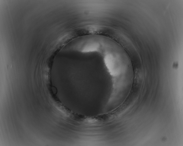 X0000102230650200807251236