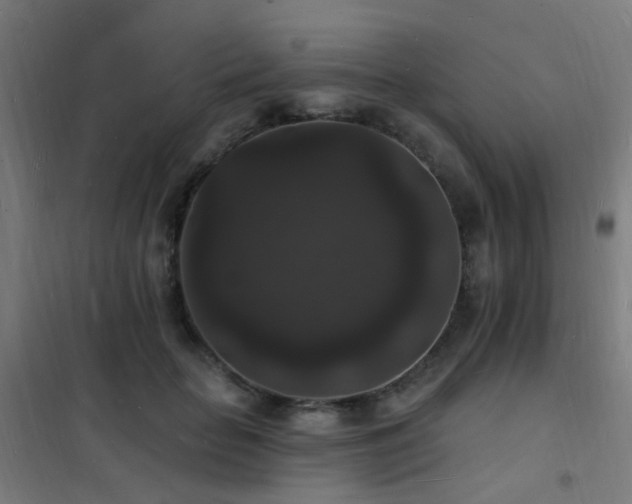 X0000102230653200807251236