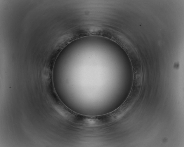 X0000102230654200807251236