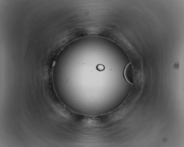 X0000102230655200807251236