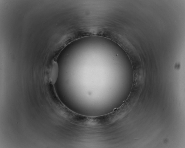 X0000102230656200807251236