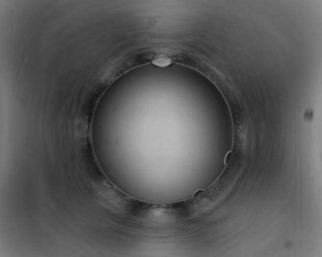 X0000102230657200807251236