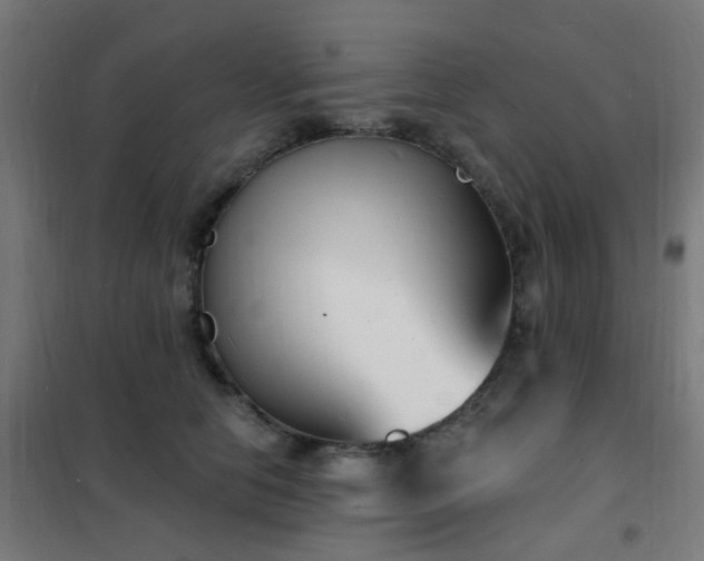 X0000102230658200807251236