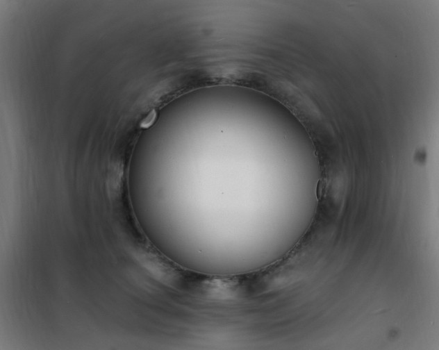 X0000102230660200807251236