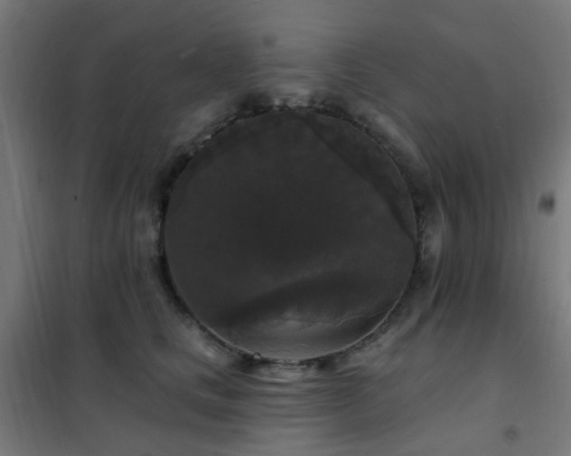 X0000102230661200807251236