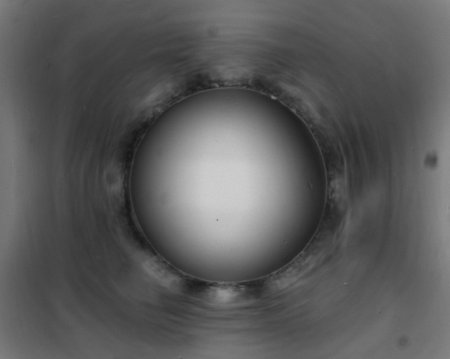X0000102230662200807251236