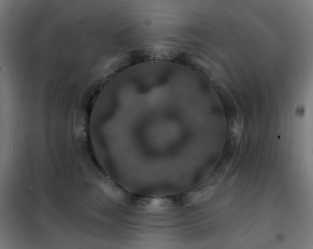 X0000102230663200807251236