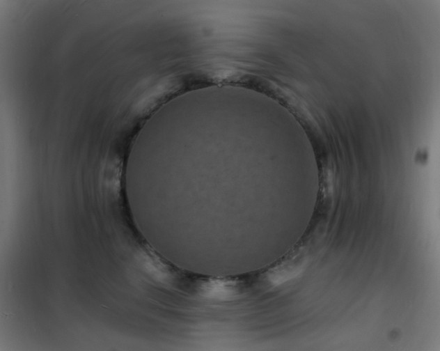 X0000102230664200807251236