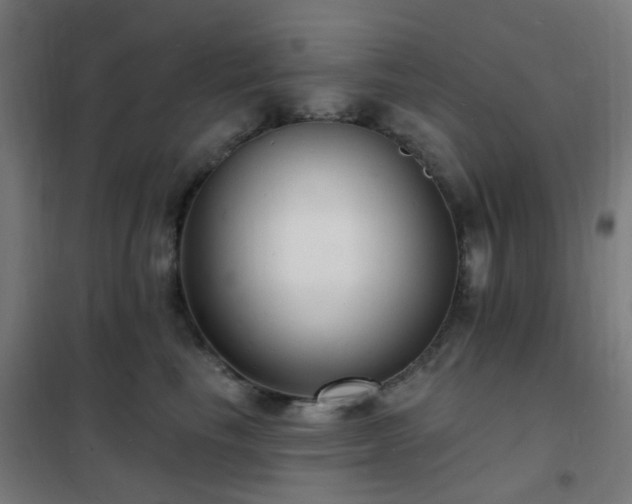 X0000102230665200807251236