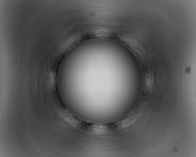 X0000102230667200807251236