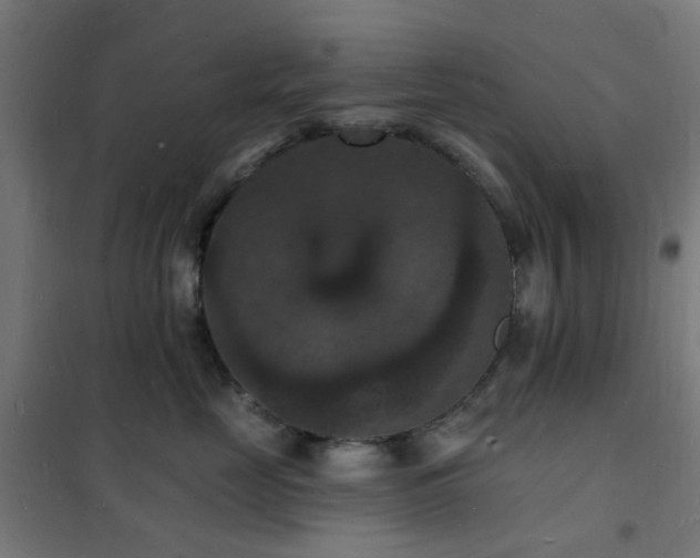 X0000102230669200807251236