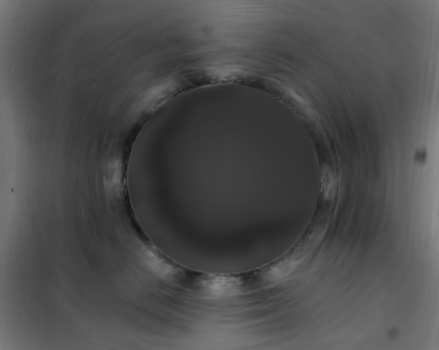 X0000102230670200807251236