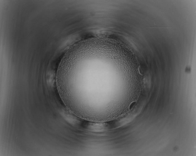 X0000102230671200807251236