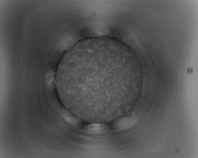 X0000102230672200807251236