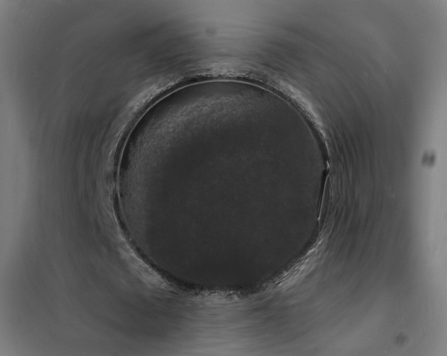 X0000102230673200807251235