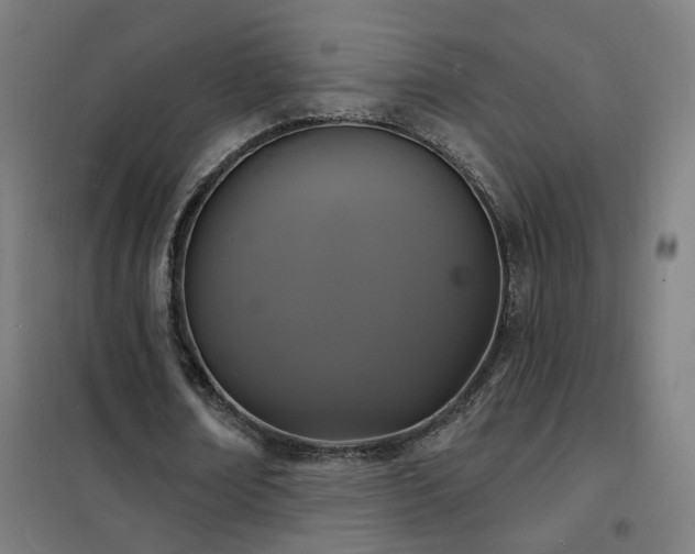 X0000102230674200807251235
