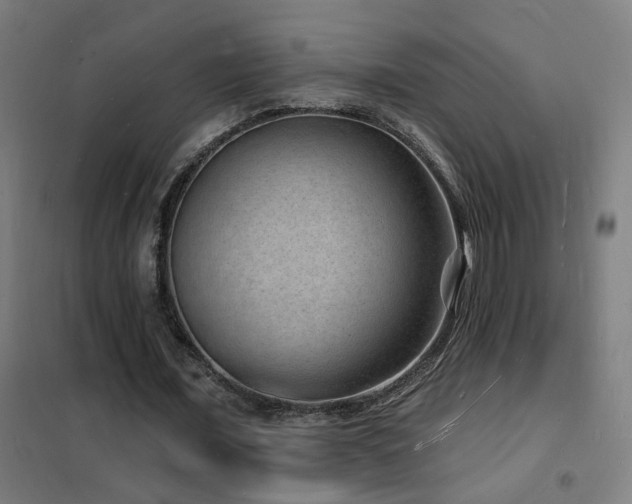 X0000102230675200807251235