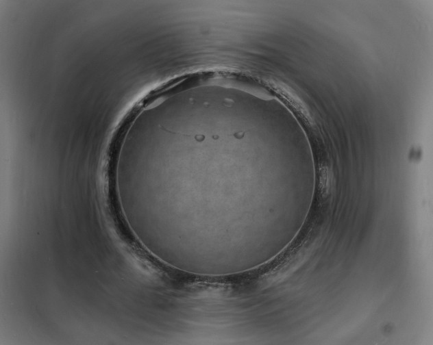 X0000102230676200807251235