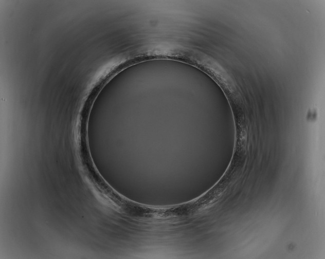 X0000102230678200807251235