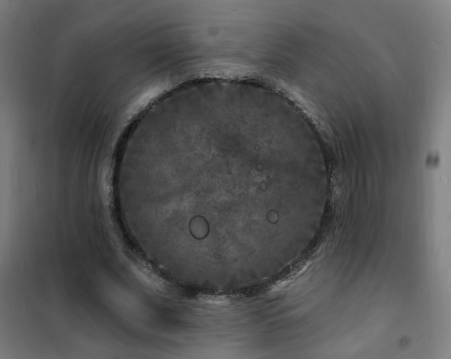X0000102230679200807251235