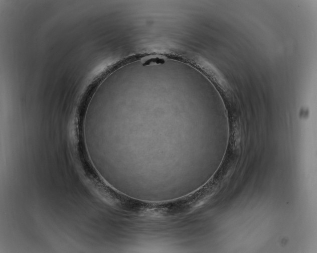 X0000102230680200807251235