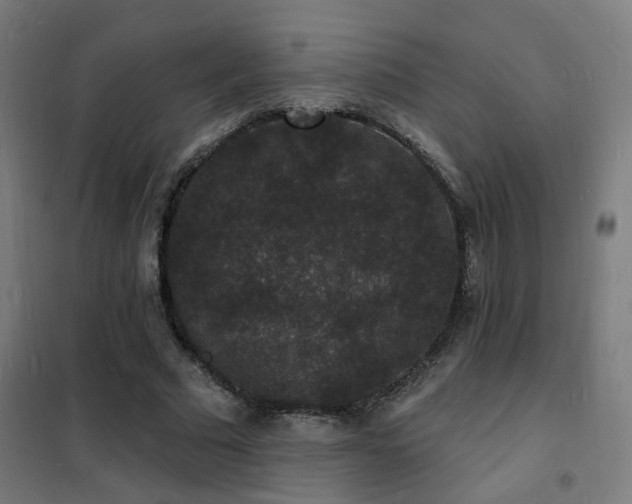 X0000102230681200807251235