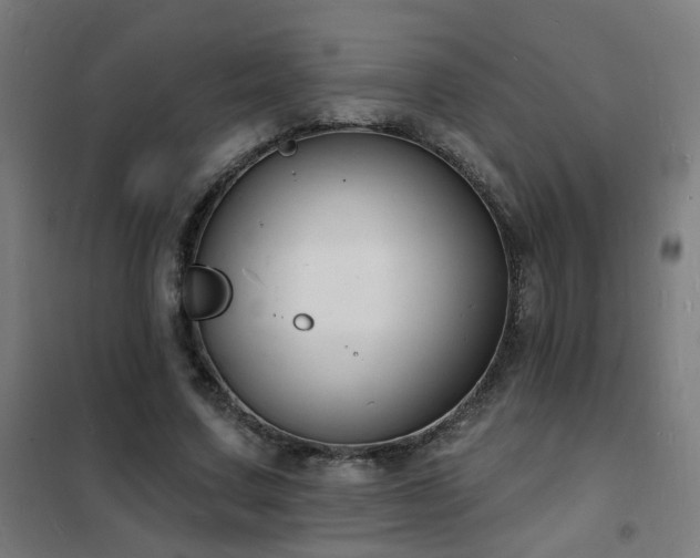 X0000102230683200807251235