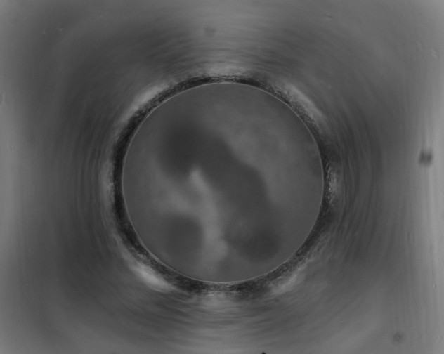 X0000102230684200807251235
